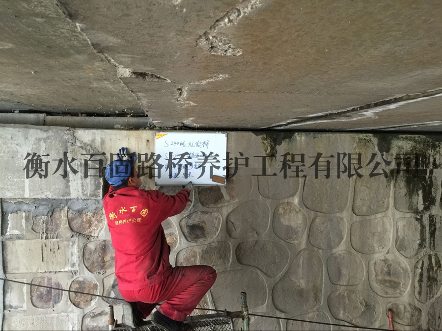 S240�t�r(n��ng)������ճ��̼�w�S�����Y(ji��)��(g��u)�a(b��)��(qi��ng)ʩ���F(xi��n)��